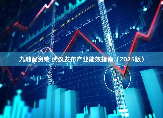 九融配资端 武汉发布产业能效指南（2025版）
