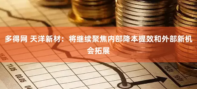 多得网 天洋新材：将继续聚焦内部降本提效和外部新机会拓展