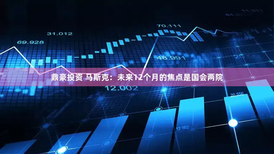 鼎豪投资 马斯克：未来12个月的焦点是国会两院