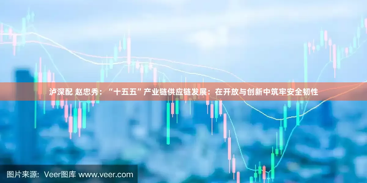 泸深配 赵忠秀：“十五五”产业链供应链发展：在开放与创新中筑牢安全韧性