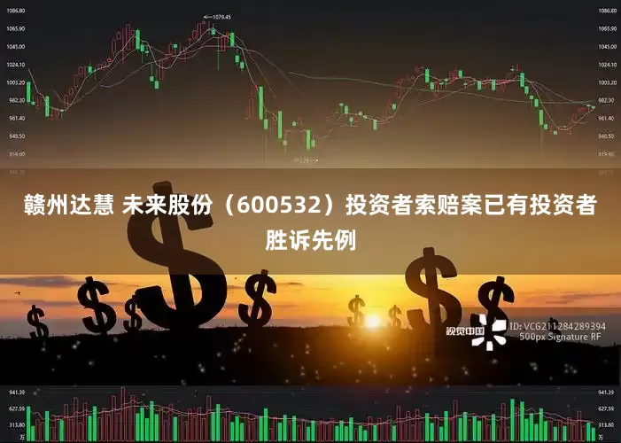 赣州达慧 未来股份（600532）投资者索赔案已有投资者胜诉先例