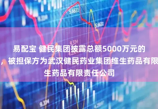 易配宝 健民集团披露总额5000万元的对外担保，被担保方为武汉健民药业集团维生药品有限责任公司