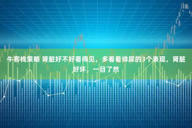 牛客栈策略 肾脏好不好看得见，多看看排尿的3个表现，肾脏好坏，一目了然